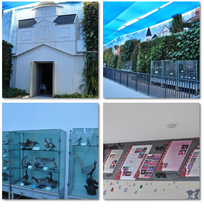 蘇州實(shí)驗小學(xué)(圖4) 蘇州實(shí)驗小學(xué)(圖4)